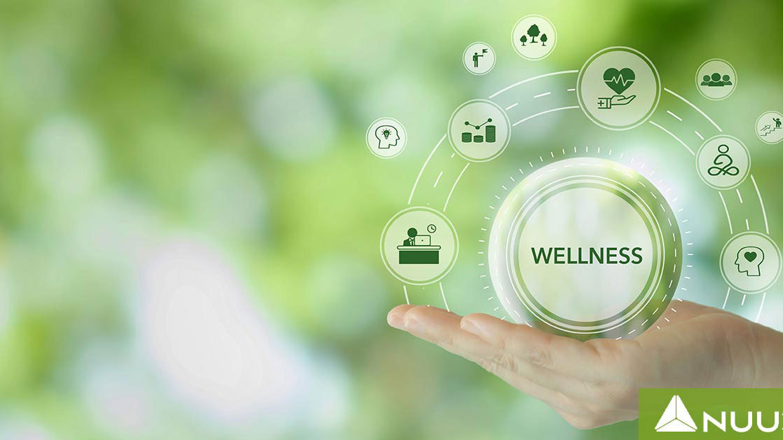 Nootrum Mushrooms Review: Key Benefits & Real Results