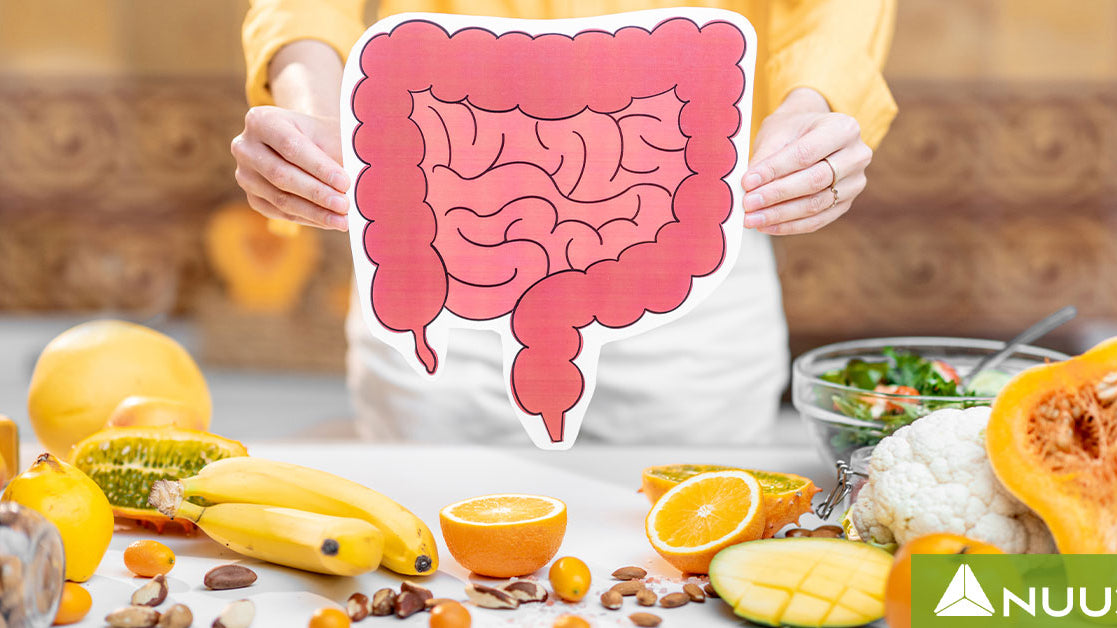Gut Healing Diet: A Step-by-Step Guide to Heal Your Gut