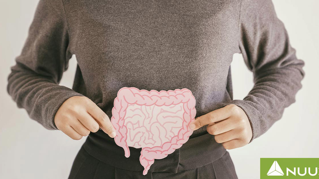 Total Restore Reviews vs NUU3 Gut Health Reviews: Which is Best for Your Gut?