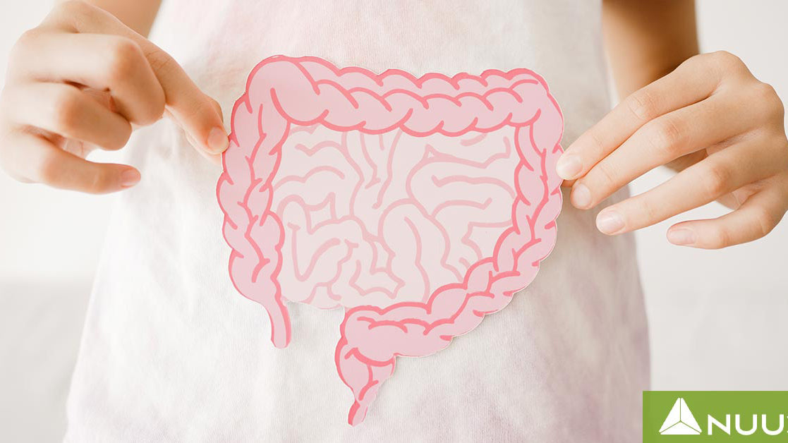 Bio Complete 3 Review vs. NUU3 Gut Health 365 Review