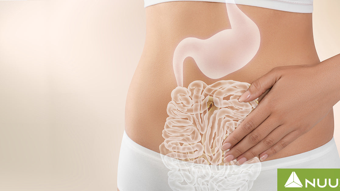 Viscera-3 Reviews vs. NUU3 Gut Health 365 Reviews