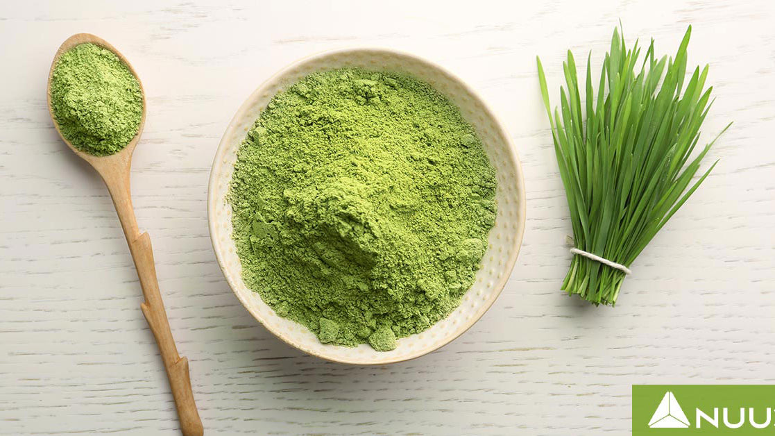 8Greens Reviews: Discover the Truth