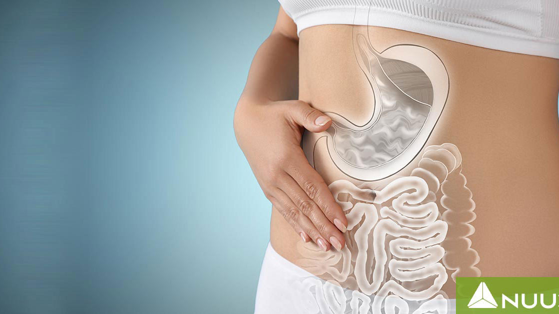 Complete Belly Reset Review: Comprehensive Gut Health Insights