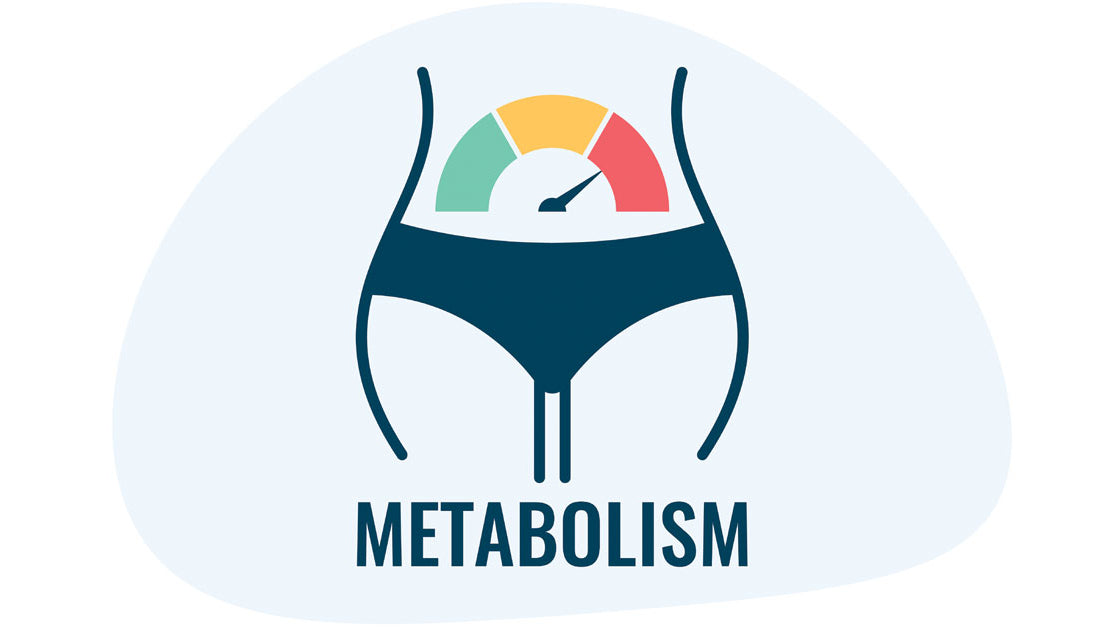A Guide to Recognizing Slow Metabolism Symptoms