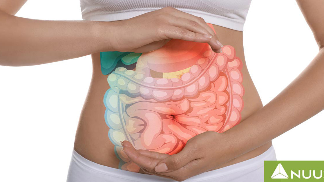 Gut Alive Review vs NUU3 Gut Health 365 Review