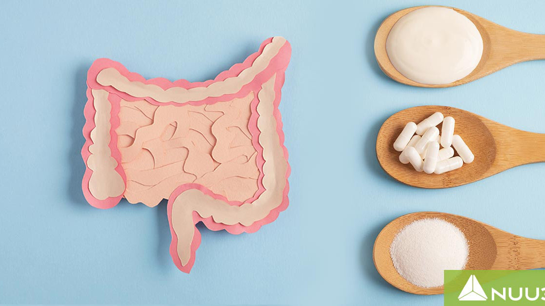 GI Revitalize Reviews vs NUU3 Gut Health 365 Reviews