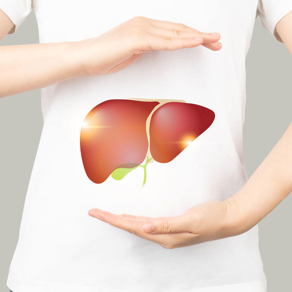 Regenerates Healthy Liver Cells