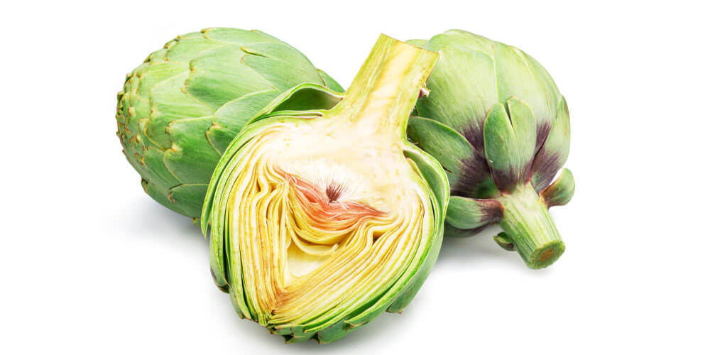 Artichoke-Leaf