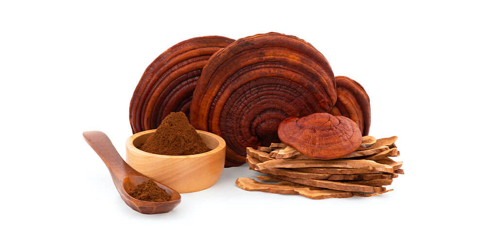 Mushroom Blend