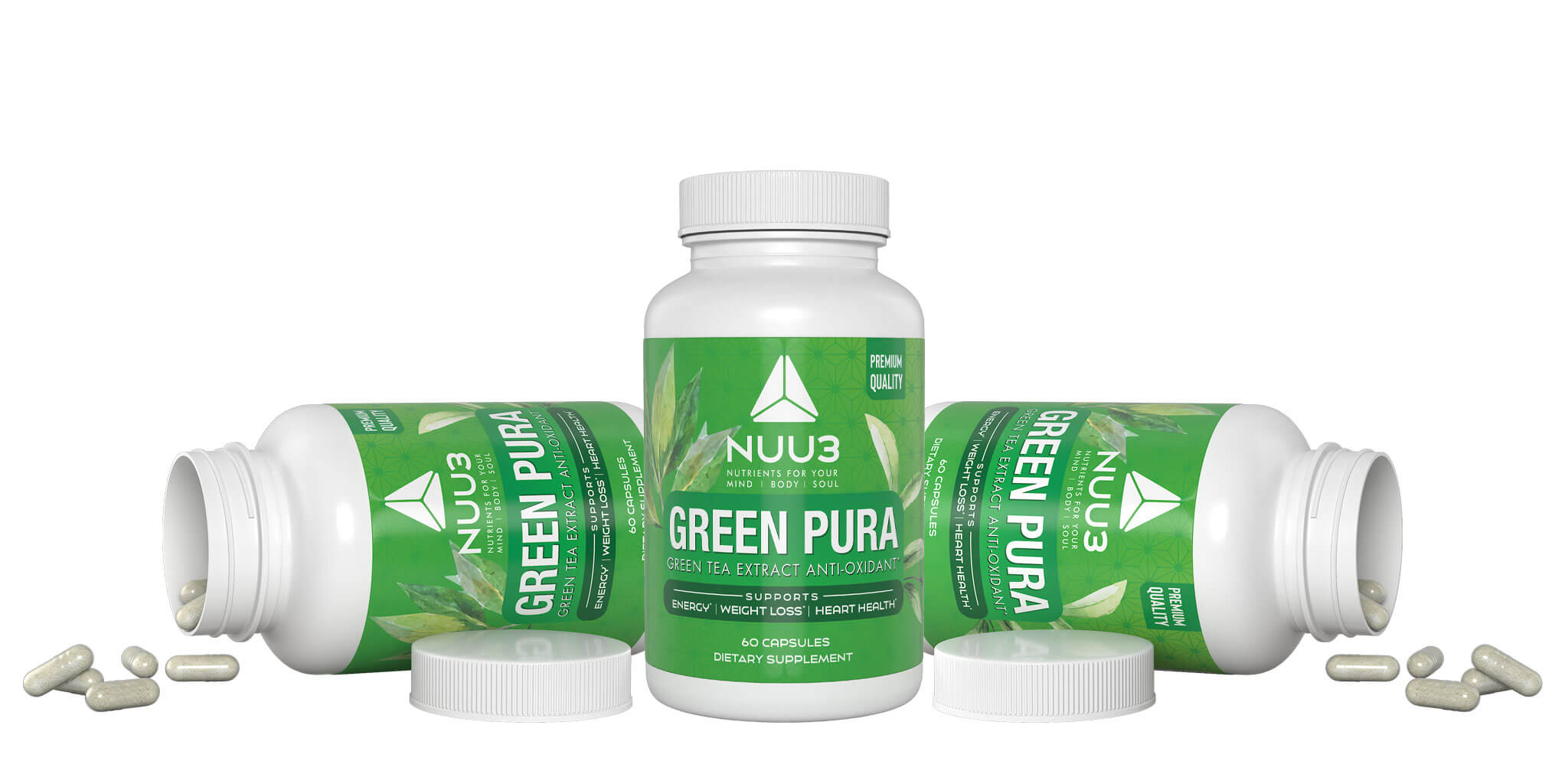 Green Tea Leaf Extract