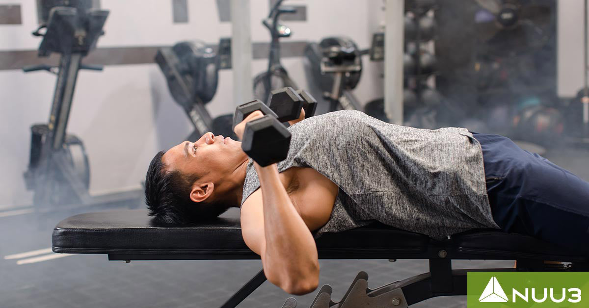 Chest Exercises: Best Routines for Building Muscle Fast – Nuu3