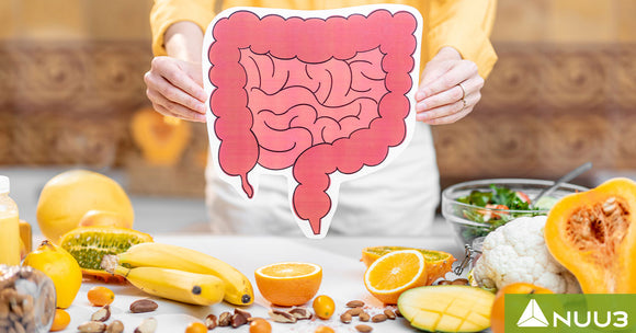 Gut Healing Diet: A Step-by-Step Guide to Heal Your Gut