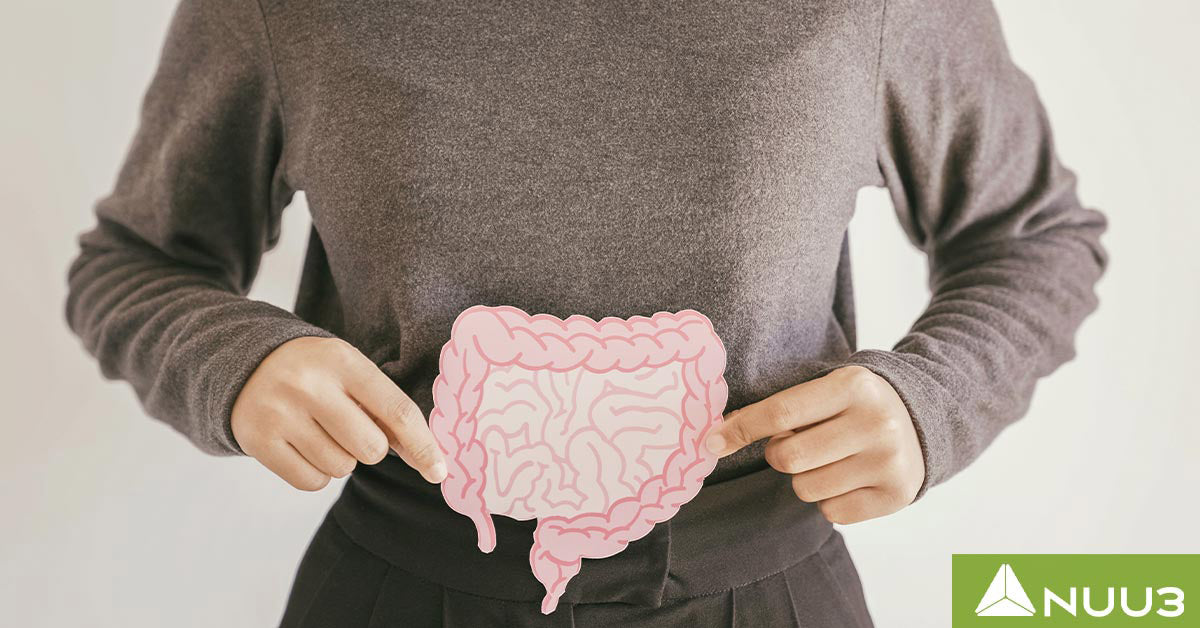 Total Restore Reviews vs NUU3 Gut Health Reviews: Which is Best for Your Gut?