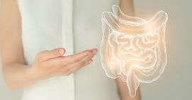 Prebiotic vs. Probiotic: What is Best for Your Gut Health