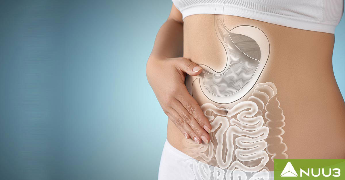 Complete Belly Reset Review: Comprehensive Gut Health Insights