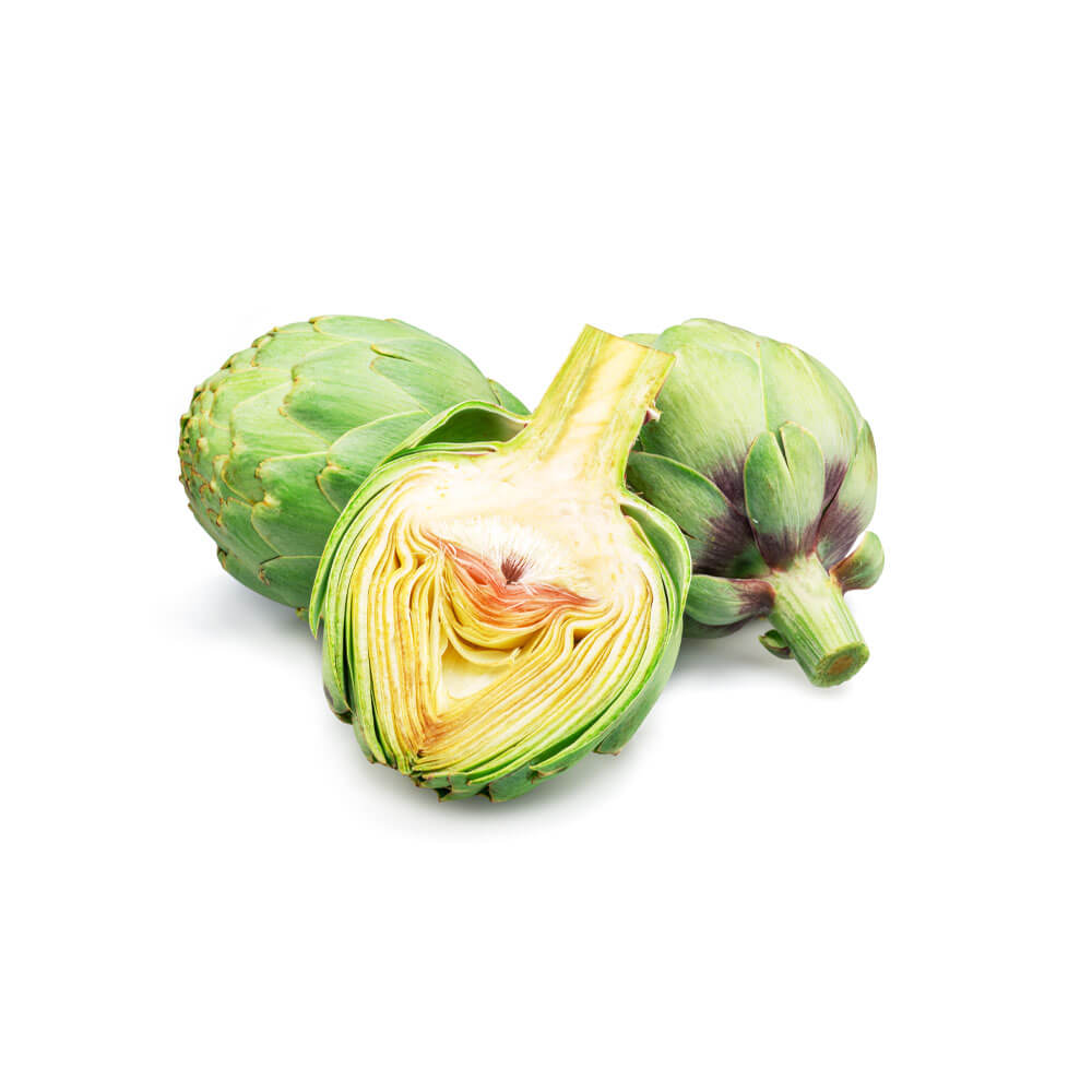 Artichoke-Leaf