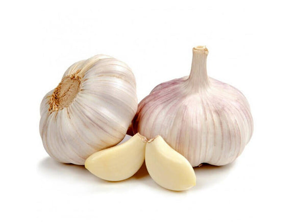 Garlic-Bulb-Powder