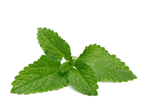 Lemon-Balm