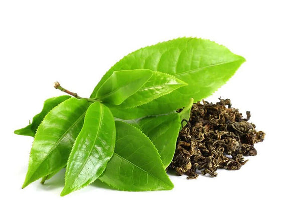 GREEN-TEA-LEAF